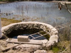 HofiMango_20110407_036